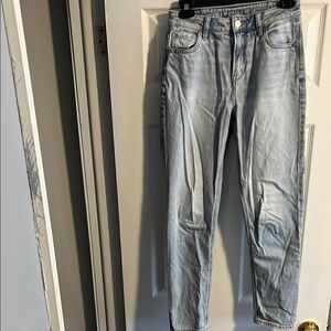 American Eagle Strigid Mom Jean